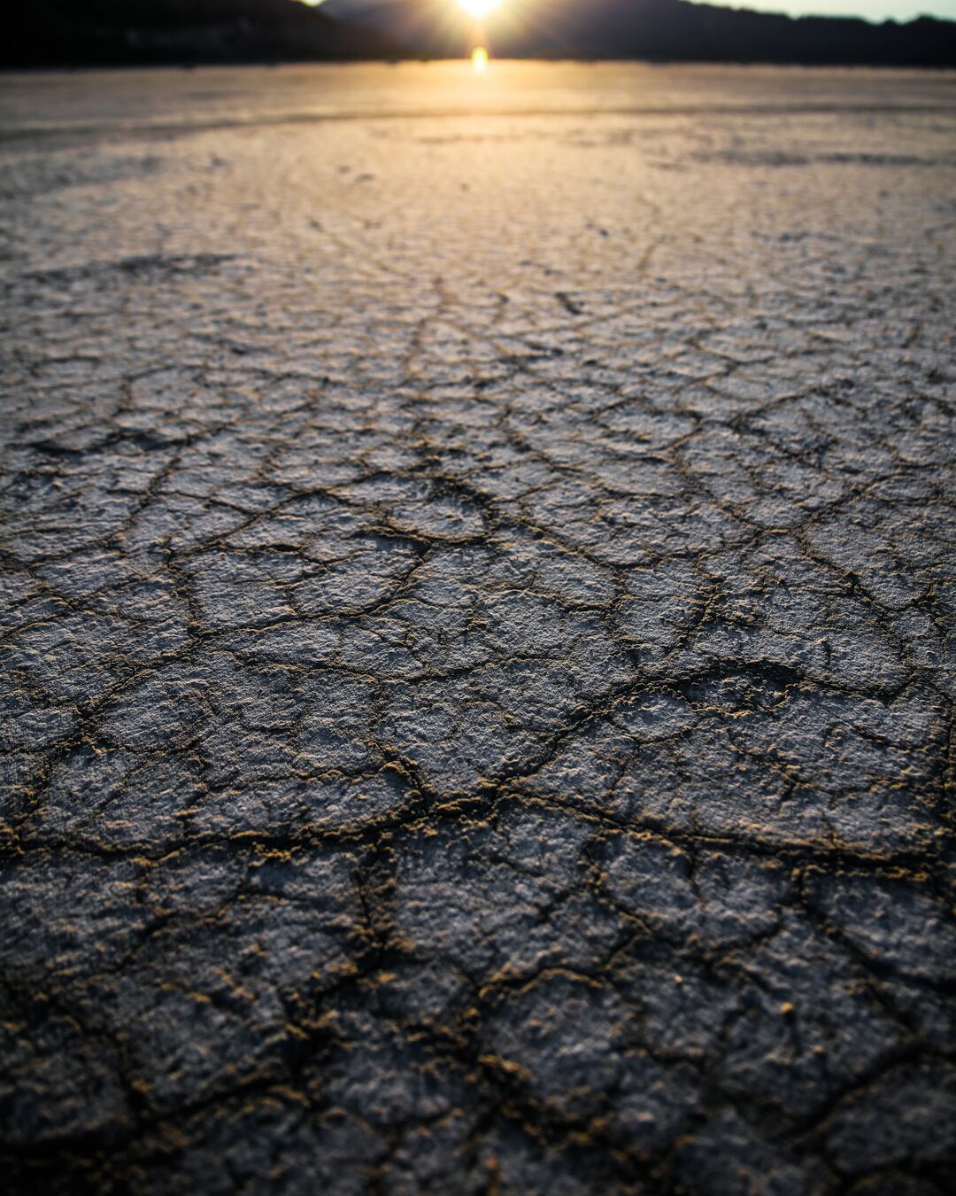 Navigating the New Normal: Emergency Preparedness in the Face of Record-Breaking Temperatures