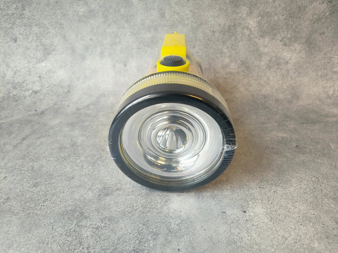 LED Torch 6V