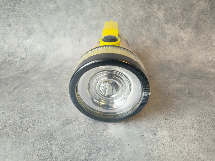 LED Torch 6V